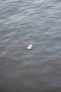 DSC_0096.jpg